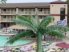 putinbay BLUE MARLIN BAR & GRILL